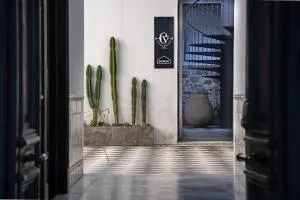 Posada El Viejo Consulado - 圣安娜