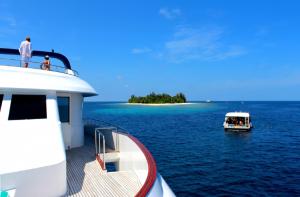 Marina Safari Boat