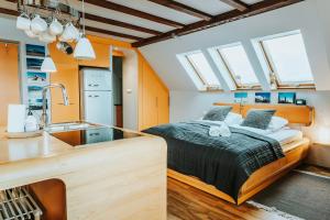 VisitZakopane Art Apartment