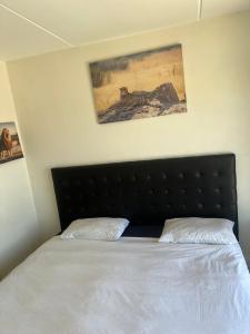 Sunny Escapes Rentals