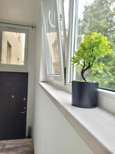 Giedres Kalnieciu apartments 2