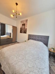 Giedres Kalnieciu apartments 2