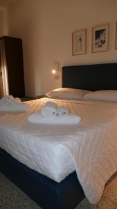 Large Single Room room in Hotel Spring