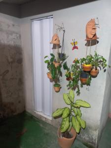 Casa em stella maris à poucos minutos da praia e do aeroporto ambiente familiar