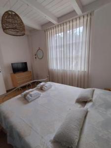 Agriturismo Frutti Antichi - Cassiopea