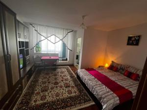 Steluta cozy studio