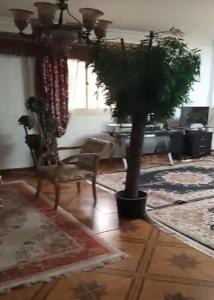 beautiful cheap furnished flat