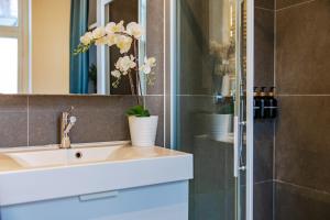 Scenic Studio in Historic Brussels