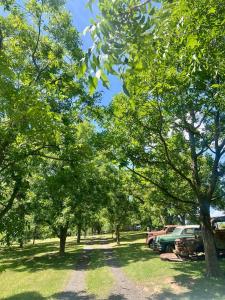 Farm Stays at Acorn Cottages