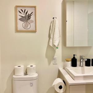 Olive 1 BD in downtown MTL 11