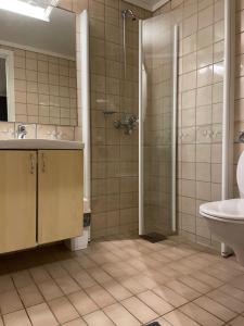 Geilo sentrumsnær leilighet