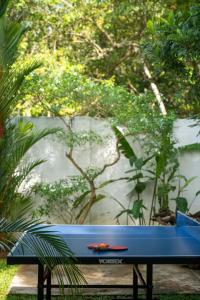 The Green House Mawella