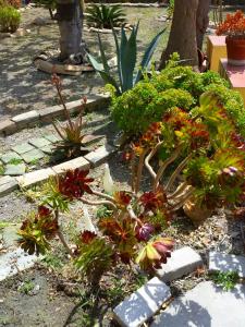 Casa Vacanza Casarcobaleno