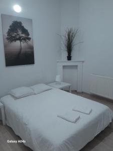 appt close to grand place sleeps 6