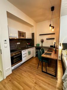 Brno - Mendel square apartment