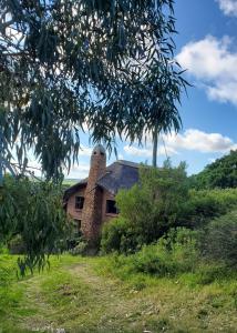 Oysterbay Nature Retreat