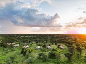 Africa Safari South Serengeti Ndutu Camping