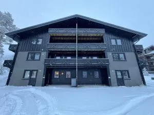 Spacious apartment near Hemsedal ski resort - Tuv