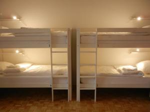 Bunk Bed in 5-Bed Mixed Dormitory Room