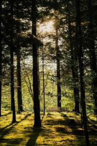 Gîte de France Armand 4 épis - Gîte de France 4 personnes MAE-1511