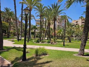 El Palmeral playa de los locos