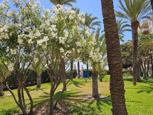 El Palmeral playa de los locos