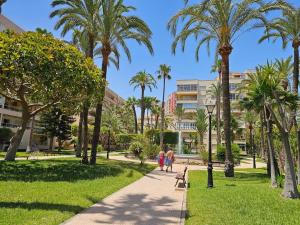 El Palmeral playa de los locos