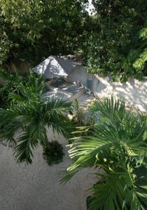 La Sultana Amazing restored house with pool