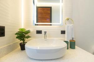 Casa Violeta Home rentals