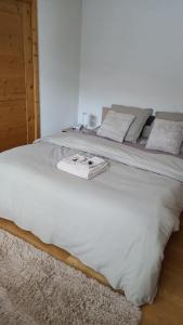 Appartement 01 Résidence Le Grand Combin à Champex