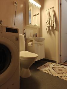 Penthouse Veitikanharju