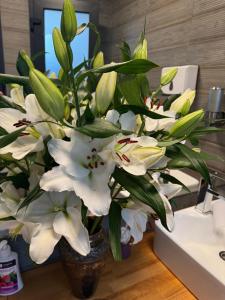 Готельно-ресторанний комплекс Фамілія