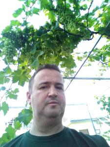 Vila Frenki 
