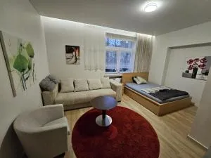 Kauno apartamentai big room king size bed - Ražiai