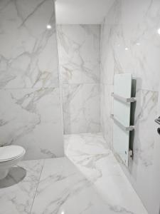 Maisons de vacances Longere avec jacuzzi interieur : photos des chambres