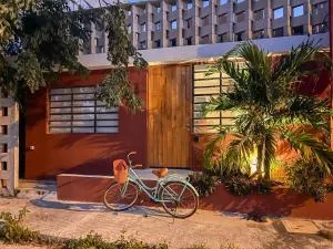 Local Living Charm & Rooftop - Petkanché