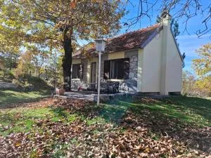 Guest House Vujošević - Prisoja