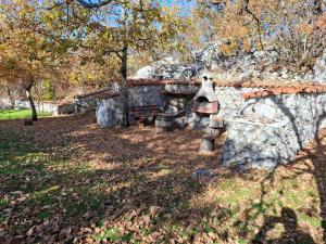 Guest House Vujošević