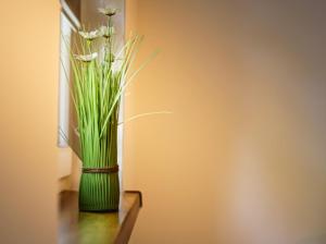 Apartamenty Koło Brzegu