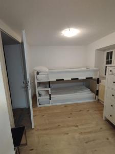 Skiing & Snowboard Apartment Accessible by Public Transport