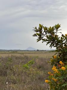 Casa Vista Monte Pascoal