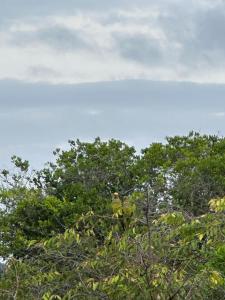 Casa Vista Monte Pascoal