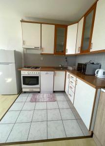 Apartments with WiFi Crikvenica - 23654