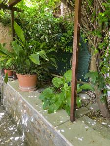 Etruscan residence Perugia