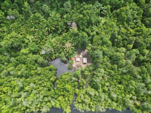 Puyau Bird Watching Raja Ampat
