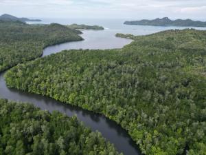 Puyau Bird Watching Raja Ampat