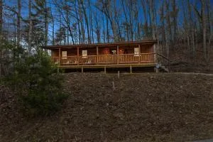 The Mountain Laurel - High Falls