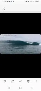 Turtle Campervans Fiji - 辛加东卡