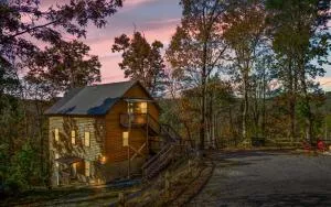 Papa Bear - 皮特曼中心