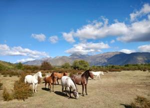 Establecimiento Campo Chico